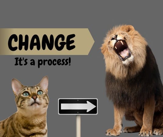 Change: It’s a Process!