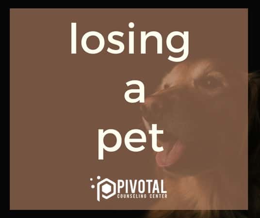 Losing a Pet
