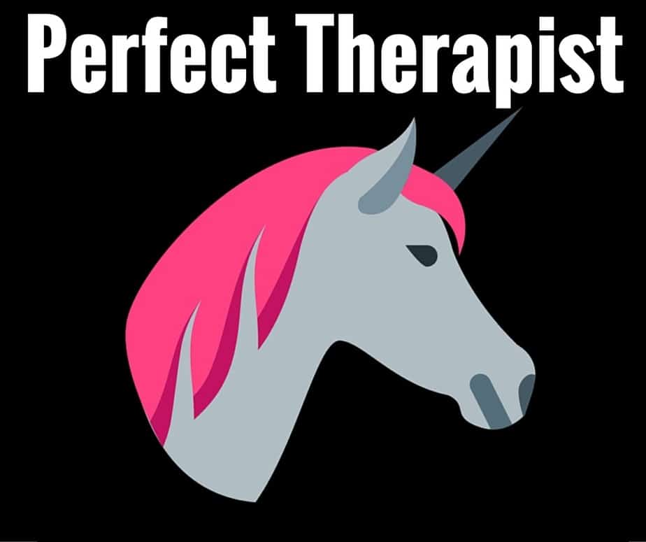 Perfect Therapist